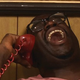 Image for article titled TV On The Radio's Tunde Adebimpe